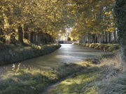The Languedoc-Roussillon in the South of France: One of the most fascinating areas of Europe, blessed with a wonderful climate, rich wildlife, great wines, a spectacular coast and astonishing history, including Cathars Castles.